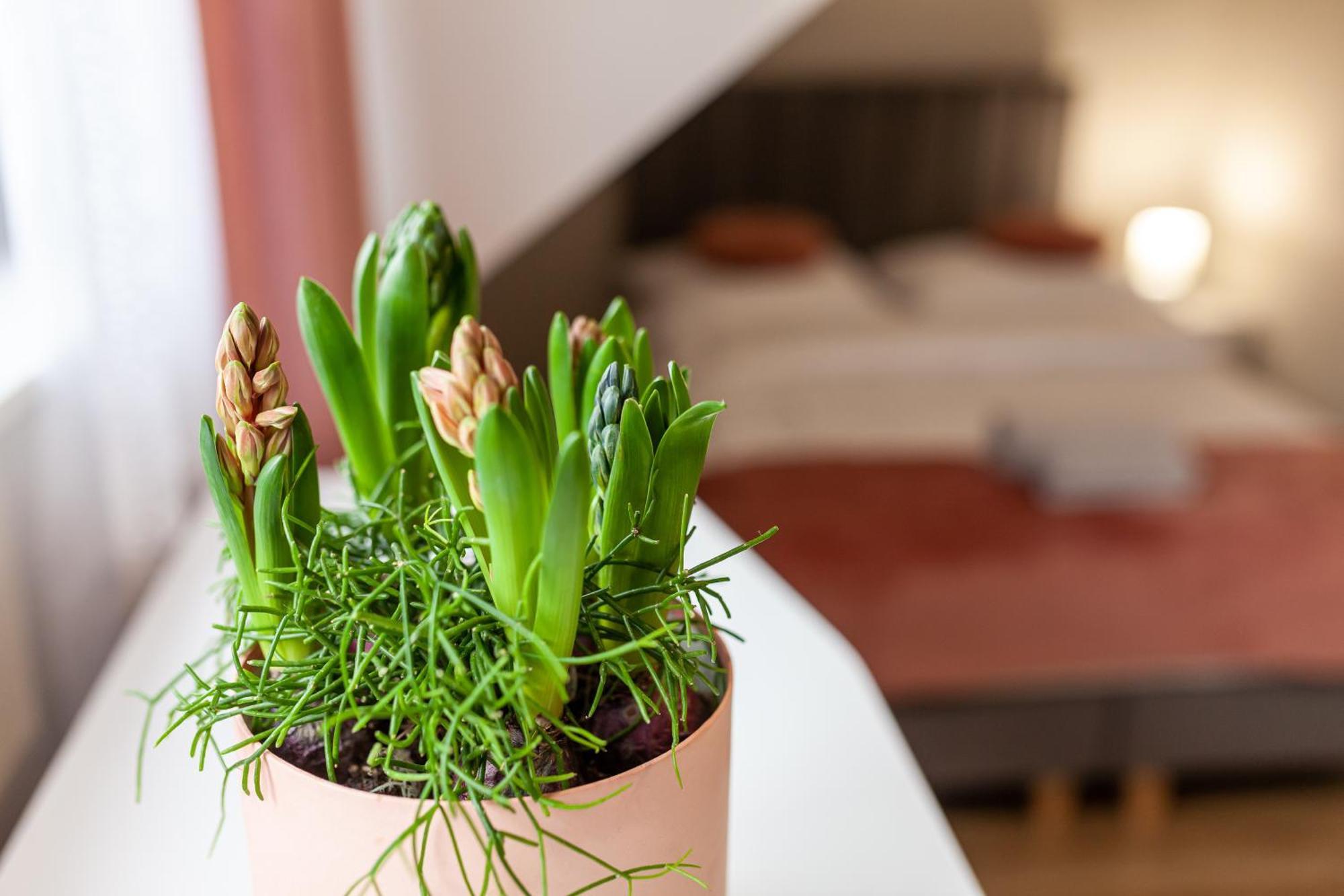 Prestige House Targi Kielce Zalew *